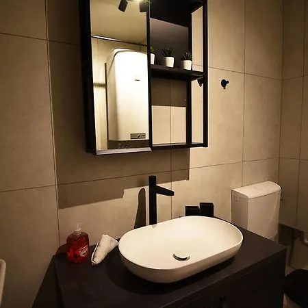 شقة Monkey Loft - Center & Free Garage Parking غراتس