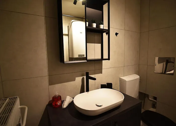 Appartamento Monkey Loft - Center & Free Garage Parking Graz